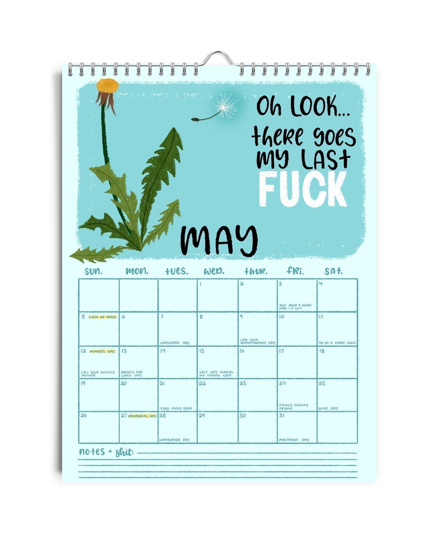 🔥LAST DAY SALE 75% OFF🌟2025 CALENDAR ‘HERE WE FUCKING GO AGAIN’-Hot Air Balloon🎈